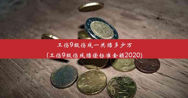 工伤9级伤残一共赔多少万(工伤9级伤残赔偿标准金额2020)