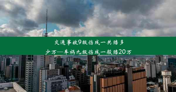 <b>交通事故9级伤残一共赔多少万—车祸九级伤残一般赔20万</b>