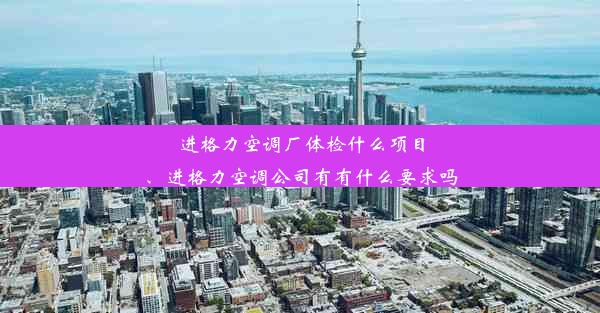 进格力空调厂体检什么项目、进格力空调公司有有什么要求吗