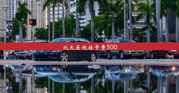 <b>北大医院挂号费500</b>