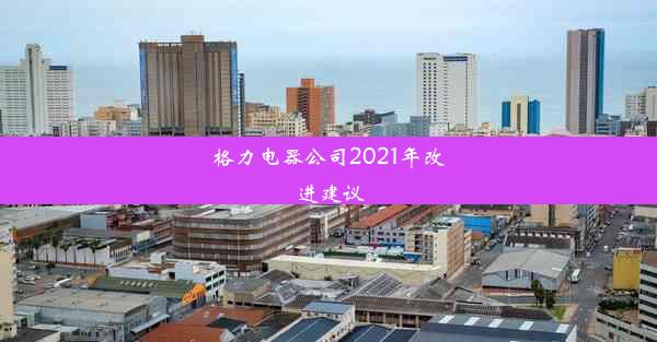 格力电器公司2021年改进建议