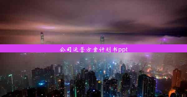 公司运营方案计划书ppt