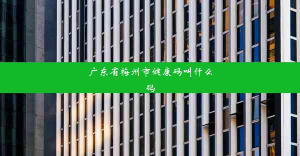 广东省梅州市健康码叫什么码