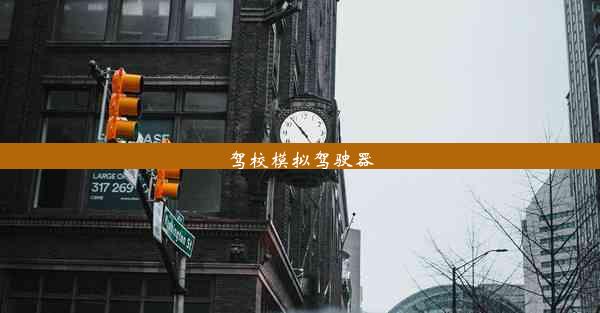 <b>驾校模拟驾驶器</b>