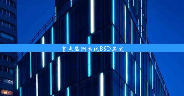 盲点监测系统BSD英文