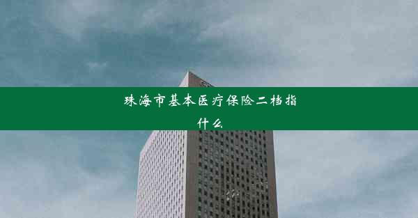 珠海市基本医疗保险二档指什么