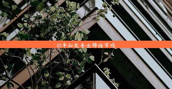 <b>ct平扫能查出肺结节吗</b>