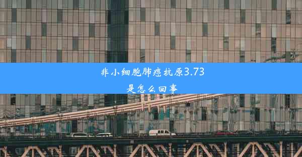 非小细胞肺癌抗原3.73是怎么回事