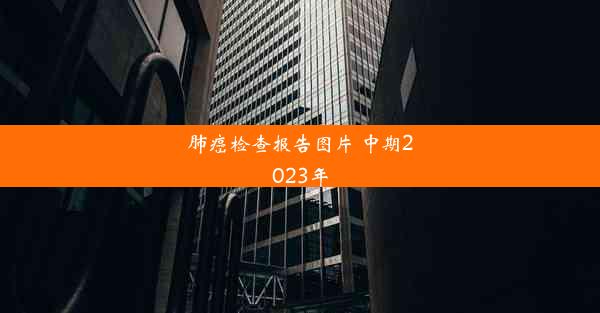 <b>肺癌检查报告图片 中期2023年</b>