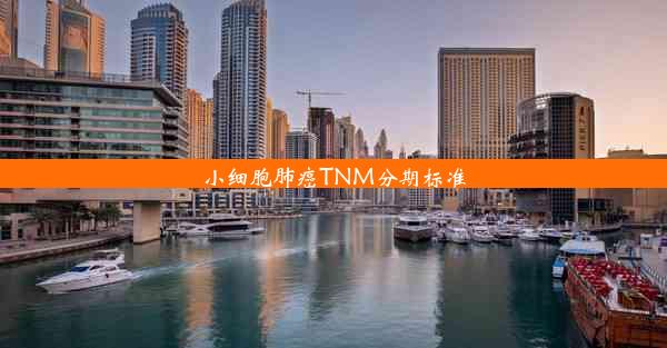 小细胞肺癌TNM分期标准