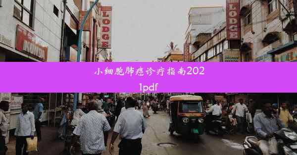 小细胞肺癌诊疗指南2021pdf