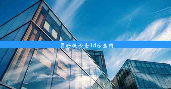 胃肠镜检查3d示意图