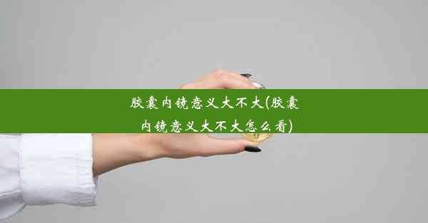 胶囊内镜意义大不大(胶囊内镜意义大不大怎么看)