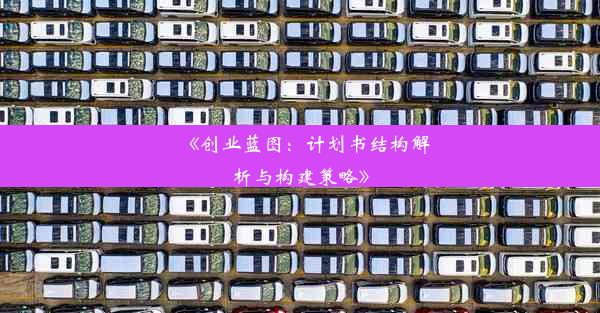 《创业蓝图：计划书结构解析与构建策略》