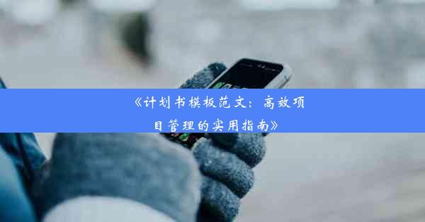 《计划书模板范文：高效项目管理的实用指南》