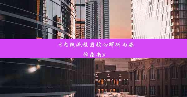 《内镜流程图核心解析与操作指南》