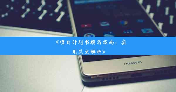 《项目计划书撰写指南：实用范文解析》