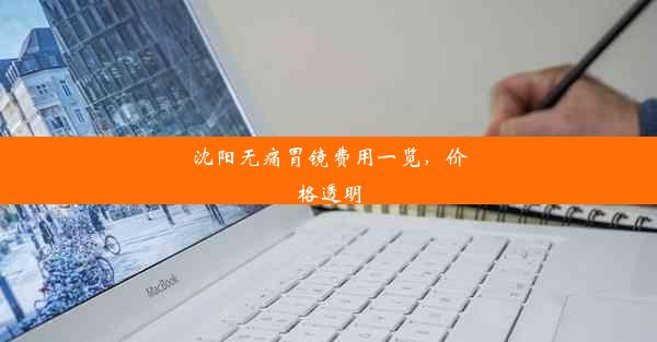 <b>沈阳无痛胃镜费用一览，价格透明</b>