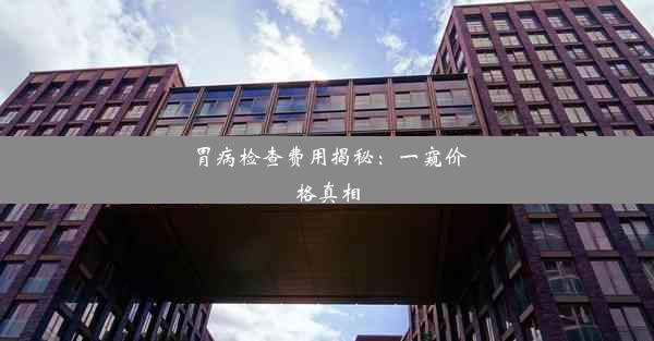 <b>胃病检查费用揭秘：一窥价格真相</b>