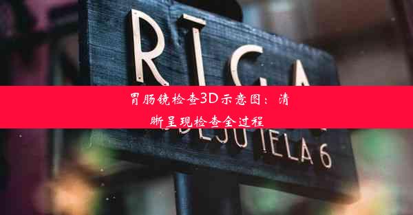 胃肠镜检查3D示意图：清晰呈现检查全过程