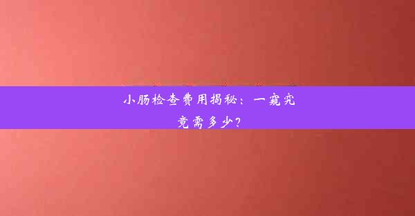 小肠检查费用揭秘：一窥究竟需多少？