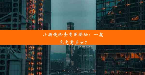 小肠镜检查费用揭秘：一窥究竟需多少？