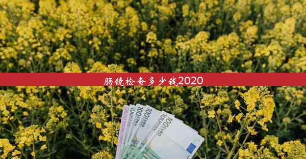 肠镜检查多少钱2020