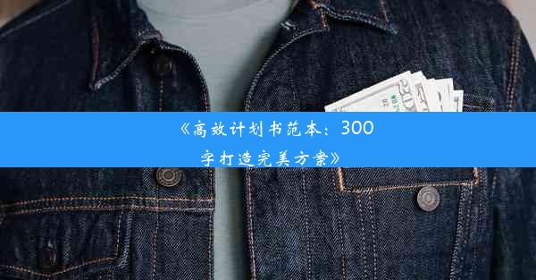 《高效计划书范本：300字打造完美方案》