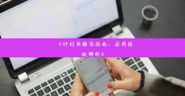 《计划书撰写指南：实用模板解析》