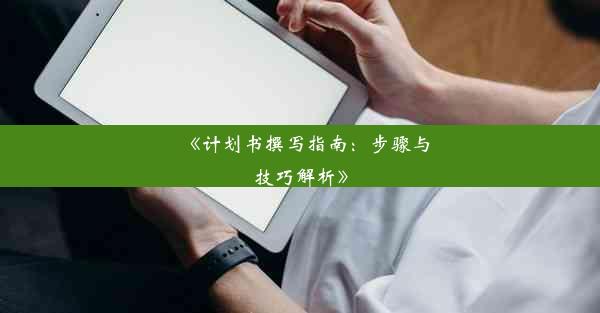 <b>《计划书撰写指南：步骤与技巧解析》</b>