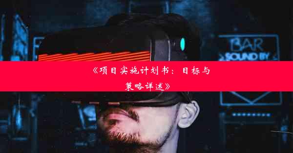 《项目实施计划书：目标与策略详述》