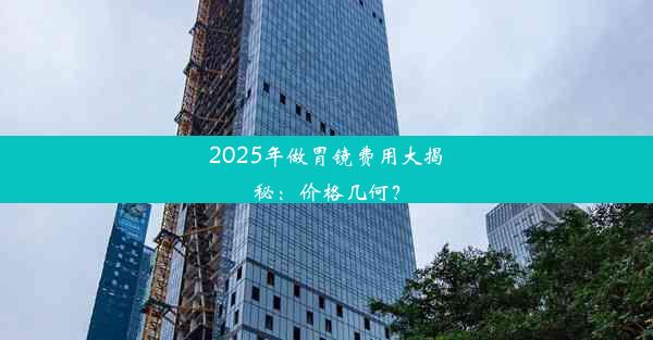 2025年做胃镜费用大揭秘：价格几何？