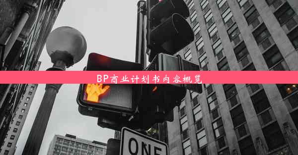 BP商业计划书内容概览