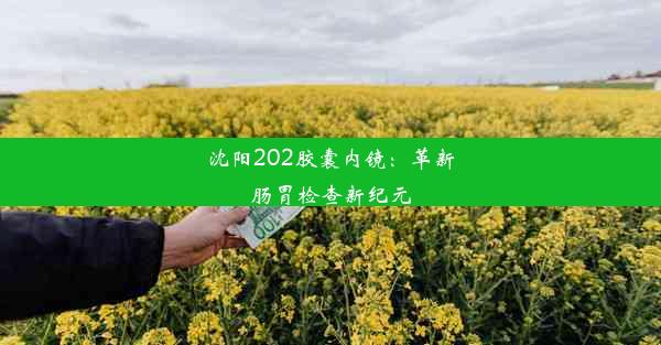 沈阳202胶囊内镜：革新肠胃检查新纪元