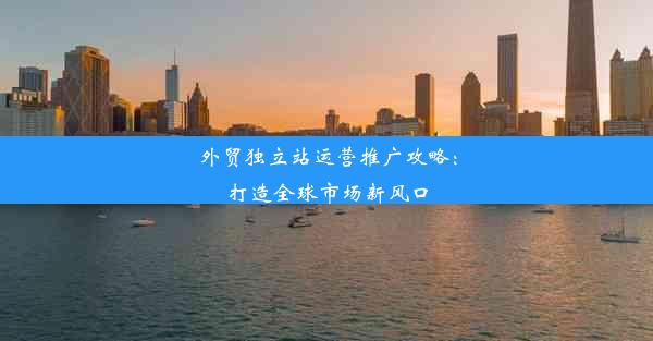 外贸独立站运营推广攻略：打造全球市场新风口