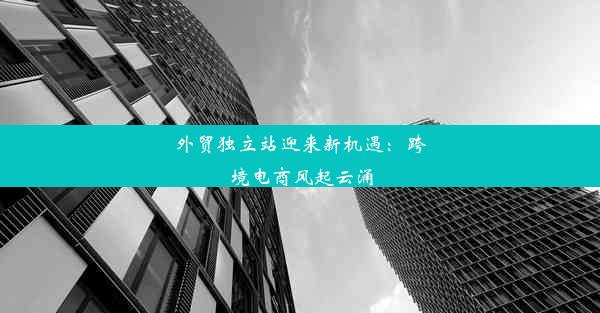 外贸独立站迎来新机遇：跨境电商风起云涌