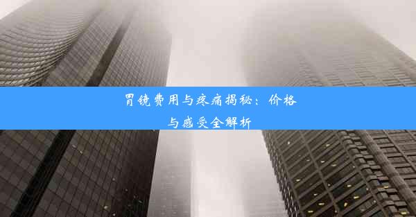 胃镜费用与疼痛揭秘：价格与感受全解析