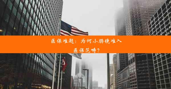 <b>医保难题：为何小肠镜难入医保范畴？</b>