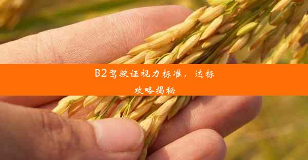 <b>B2驾驶证视力标准，达标攻略揭秘</b>