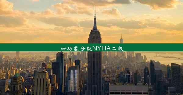 心功能分级NYHA二级