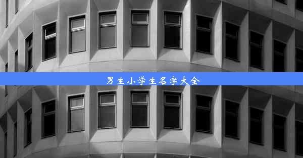 男生小学生名字大全