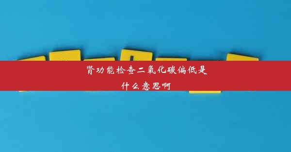 肾功能检查二氧化碳偏低是什么意思啊