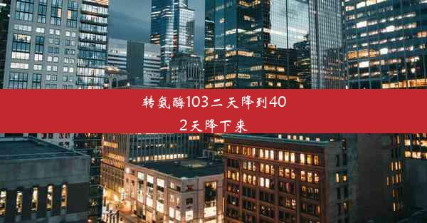 转氨酶103二天降到402天降下来