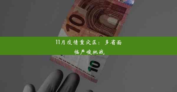 11月疫情重灾区：多省面临严峻挑战