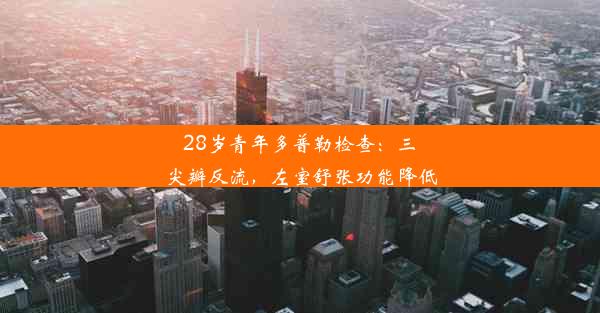 <b>28岁青年多普勒检查：三尖瓣反流，左室舒张功能降低</b>