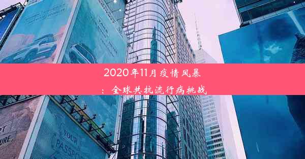 2020年11月疫情风暴：全球共抗流行病挑战