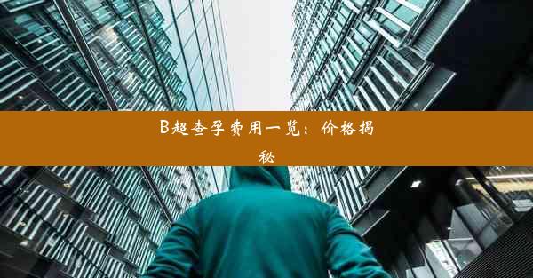 B超查孕费用一览：价格揭秘