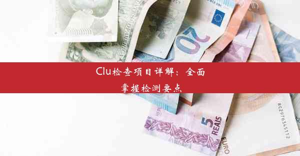 <b>Clu检查项目详解：全面掌握检测要点</b>