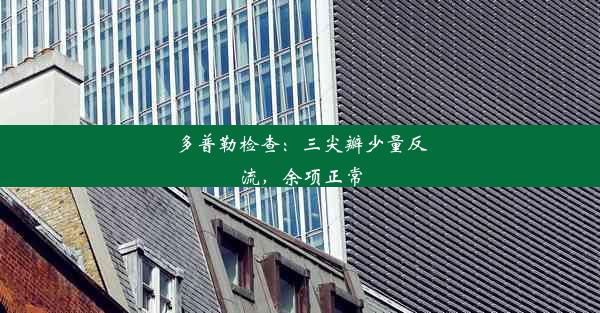 <b>多普勒检查：三尖瓣少量反流，余项正常</b>