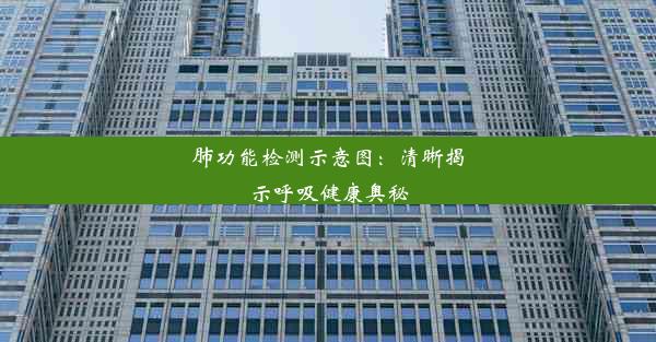 肺功能检测示意图：清晰揭示呼吸健康奥秘